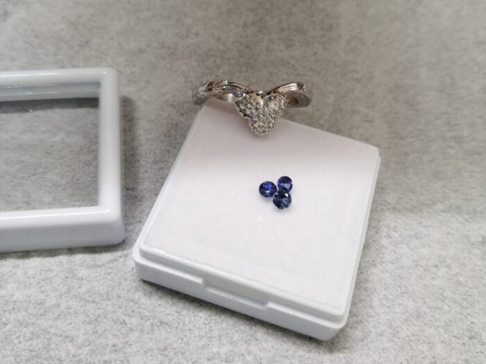 ベニトアイトルース